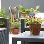 Cosy Rosie\'S Apartment